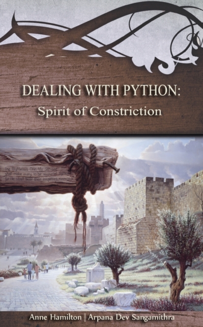 Dealing with Python : Spirit of Constriction, Paperback / softback Book