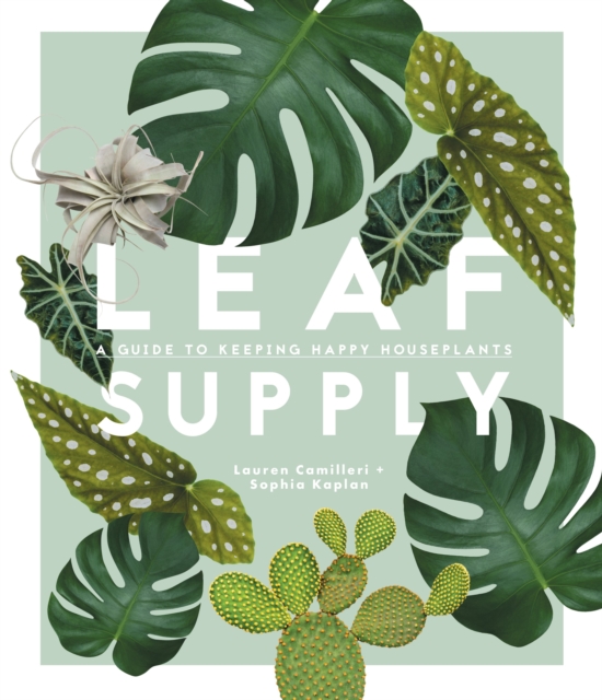 Leaf Supply : A guide to keeping happy house plants, Hardback Book