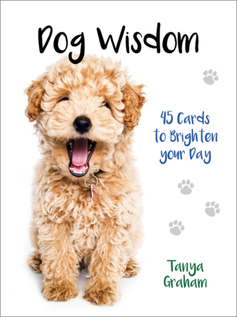 Dog Wisdom : 45 Cards to Brighten Your Day, Cards Book