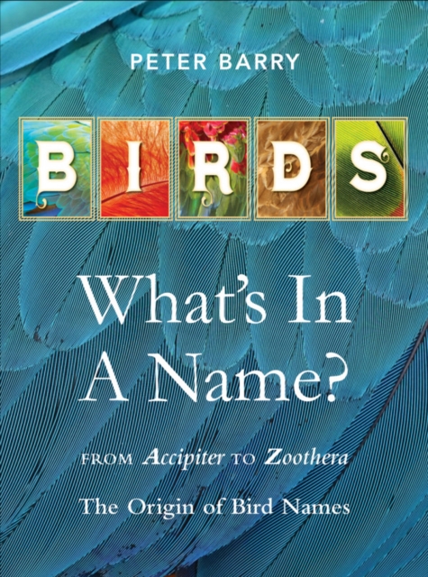 Birds: What's In A Name?, Hardback Book