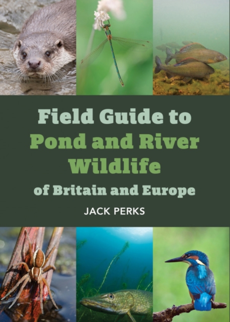 FIELD GUIDE D TO POND WILDLIFE OF BRITAIN & EUROPE, Paperback / softback Book