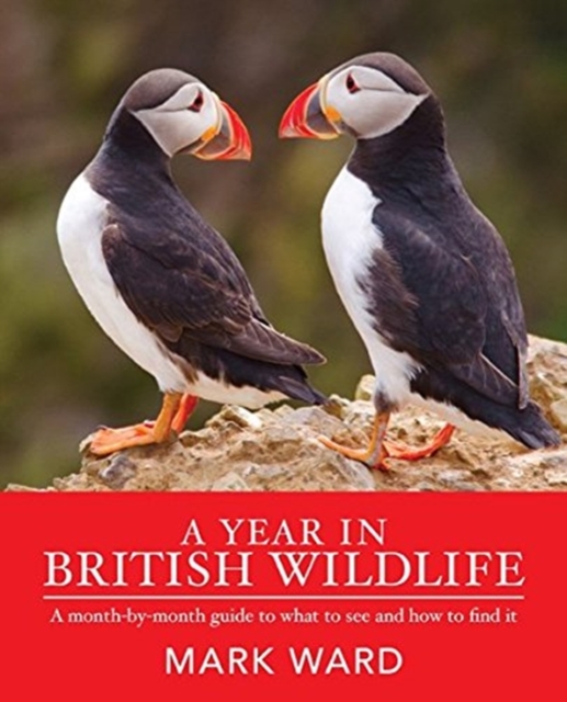 YEAR IN BRITISH WILDLIFE A, Paperback Book