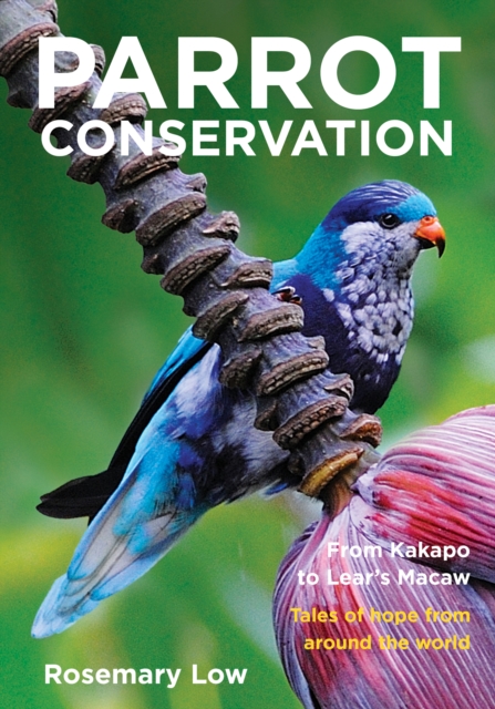 Parrot Conservation : From Kakapo to Lear's Macaw. Tales of hope from around the world, Paperback / softback Book
