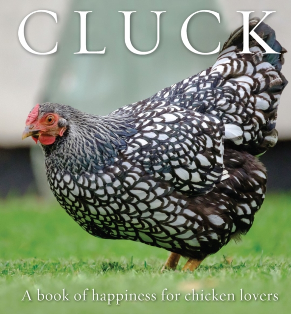Cluck : A Book of Happiness for Chicken Lovers, Paperback / softback Book