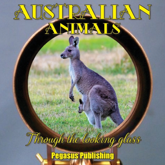 Australian Animals : Through The Looking Glass, Paperback / softback Book