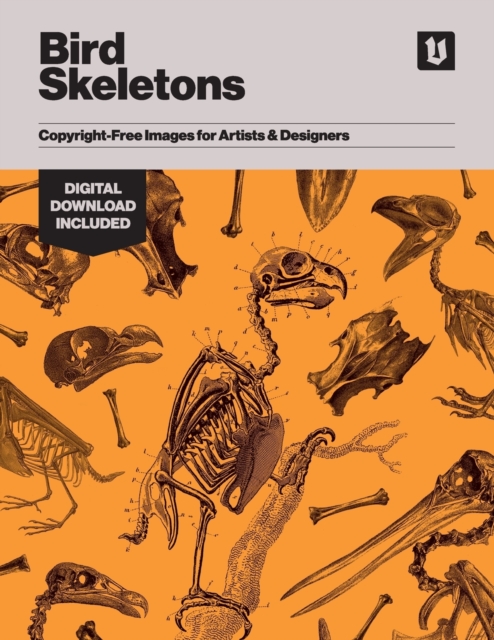 Bird Skeletons : Copyright-Free Images for Artists & Designers, Paperback / softback Book