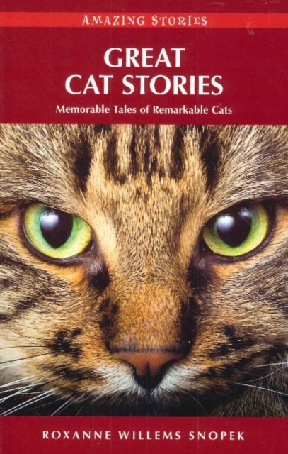 Great Cat Stories : Memorable Tales of Remarkable Cats, Paperback / softback Book