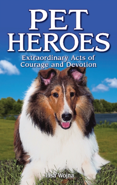 Pet Heroes : Extraordinary Acts of Courage and Devotion, Paperback / softback Book