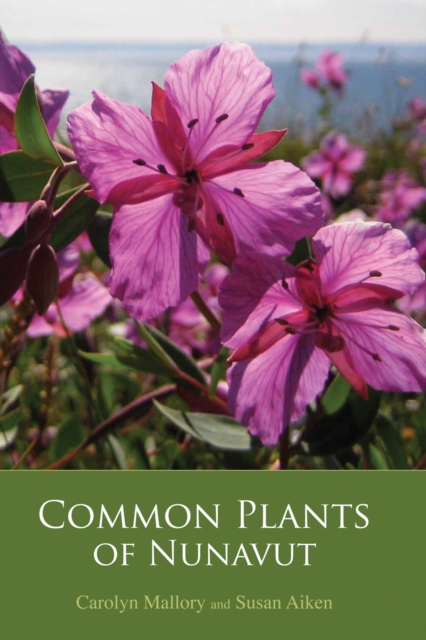 Common Plants of Nunavut, Paperback / softback Book