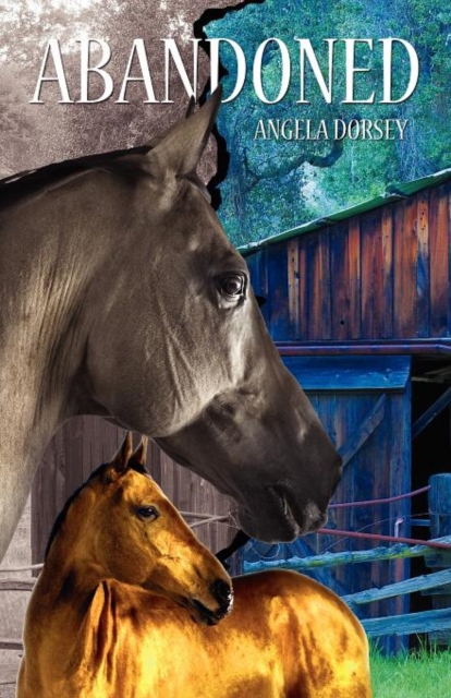 Abandoned : A Time Travel Horse Adventure, Paperback / softback Book