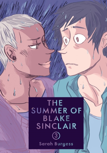 The Summer of Blake Sinclair : Volume 3, Paperback / softback Book