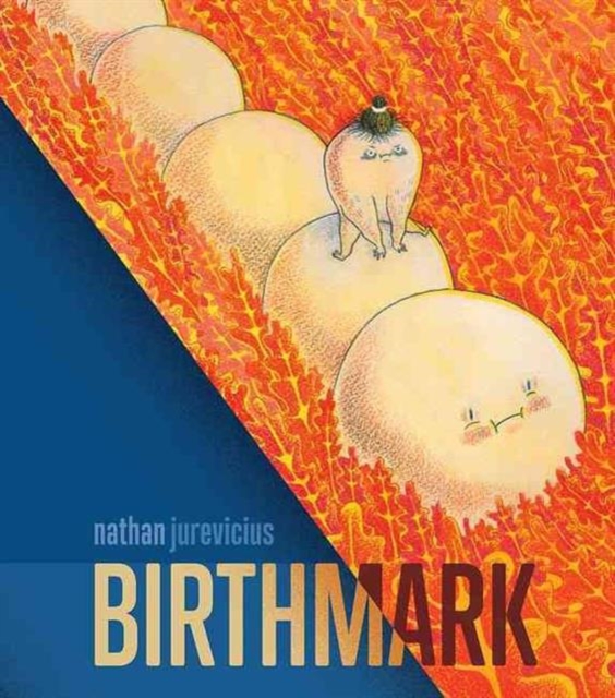 Birthmark, Hardback Book