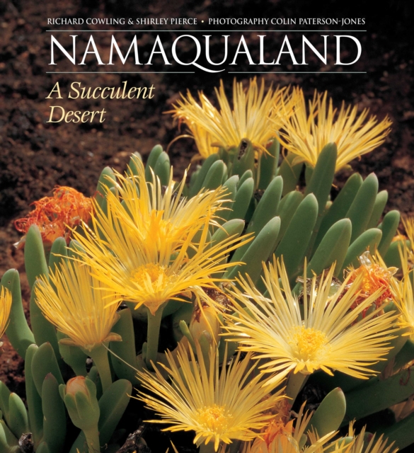 Namaqualand : A Succulent Desert, EPUB eBook