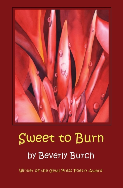 Sweet to Burn, Paperback / softback Book