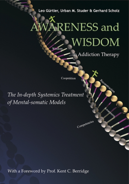 Awareness and Wisdom in Addiction Therapy : The In-Depth Systemics Treatment of Mental-somatic Models, Paperback / softback Book