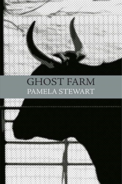 Ghost Farm, Paperback / softback Book