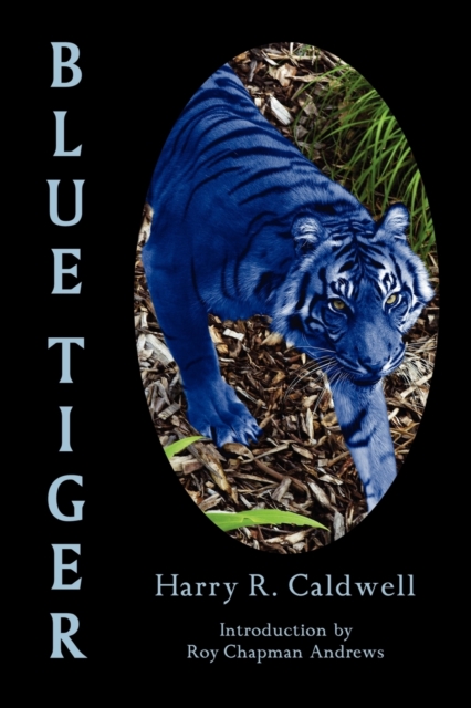 Blue Tiger, Paperback / softback Book
