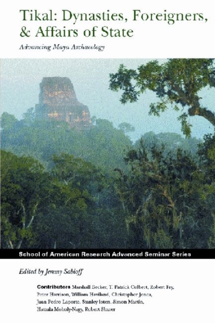 Tikal: Dynasties, Foreigners, & Affairs of State : Advancing Maya Archaeology, Paperback / softback Book