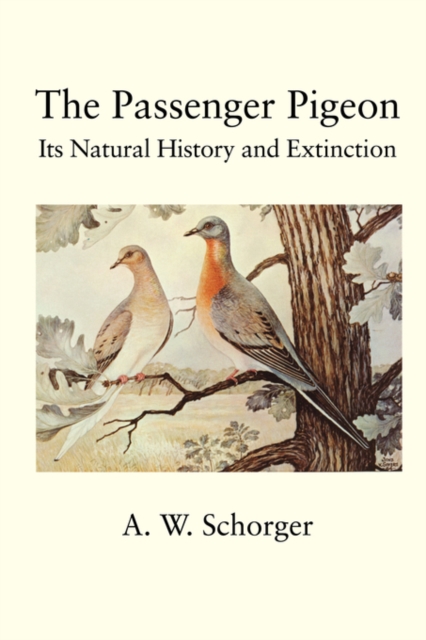 The Passenger Pigeon, Paperback / softback Book