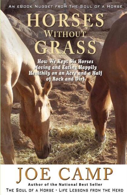 Horses Without Grass : How We Kept Six Horses Moving and eating Happily Healthily on an Acre and a Half of Rock and Dirt, Paperback / softback Book