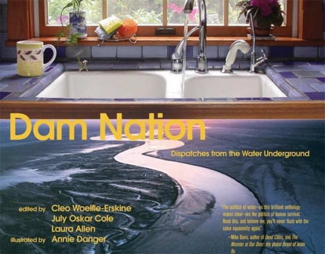 Dam Nation : Dispatches from the Water Underground, Paperback Book