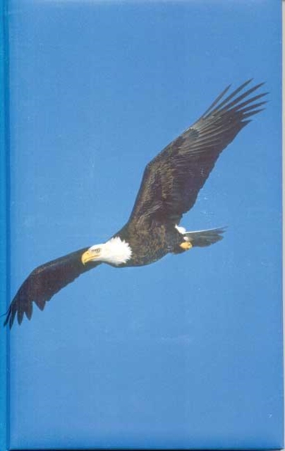 Eagle Blank Journal, Hardback Book