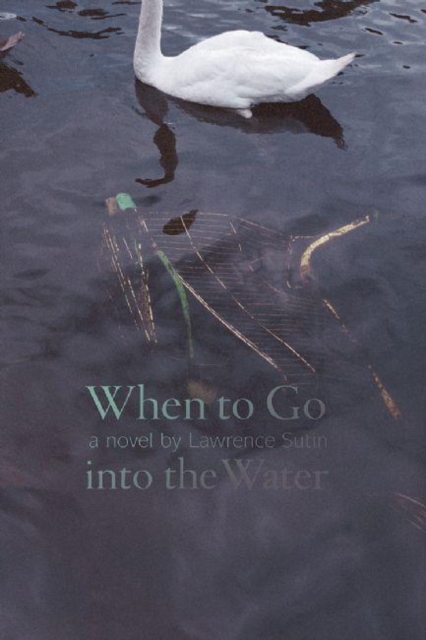 When to Go into the Water : A Novel, Paperback / softback Book