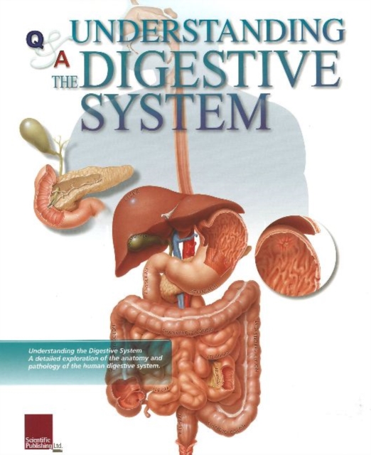 Understanding the Digestive System Flip Chart, Spiral bound Book