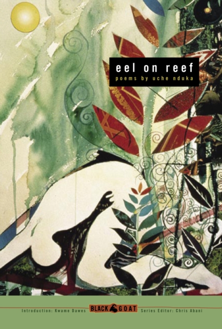 Eel On Reef, Paperback / softback Book