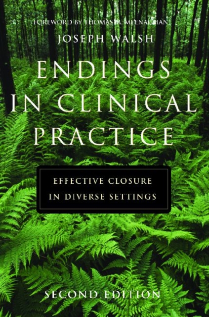 Endings in Clinical Practice : Effective Closure in Diverse Settings, Paperback / softback Book