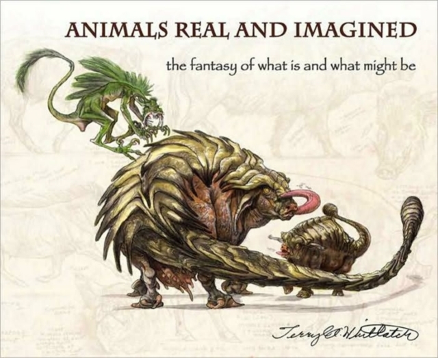 Animals Real and Imagined : Fantasy of What is and What Might be, Paperback / softback Book
