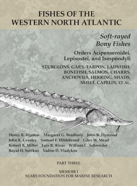 Soft-rayed Bony Fishes: Orders Acipenseroidei, Lepisostei, and Isospondyli : Part 3, Paperback / softback Book