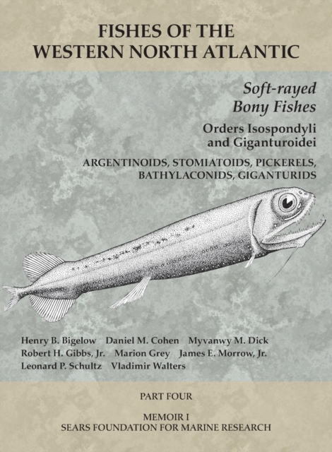 Soft-rayed Bony Fishes: Orders Isospondyli and Giganturoidei : Part 4, Paperback / softback Book