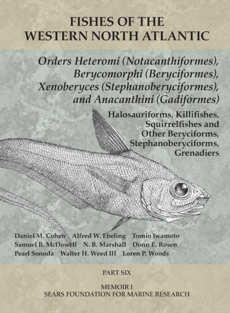 Orders Heteromi (Notacanthiformes), Berycomorphi (Beryciformes), Xenoberyces (Stephanoberyciformes), Anacanthini (Gadiformes) : Part 6, Paperback / softback Book