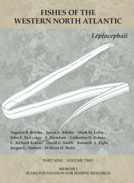 Leptocephali : Part 9, Volume 2, Paperback / softback Book