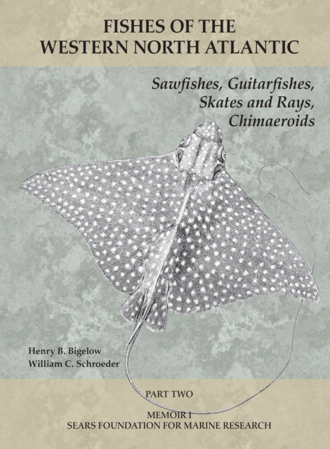 Sawfishes, Guitarfishes, Skates and Rays, Chimaeroids : Part 2, PDF eBook