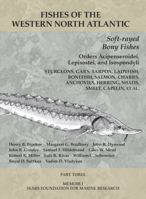 Soft-rayed Bony Fishes: Orders Acipenseroidei, Lepisostei, and Isospondyli : Part 3, PDF eBook