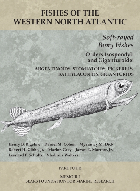 Soft-rayed Bony Fishes: Orders Isospondyli and Giganturoidei : Part 4, PDF eBook