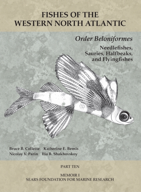 Order Beloniformes: Needlefishes, Sauries, Halfbeaks, and Flyingfishes : Part 10, PDF eBook