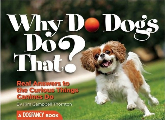 Why Do Dogs Do That? : Real Answers to the Curious Things Canines Do?, Paperback / softback Book