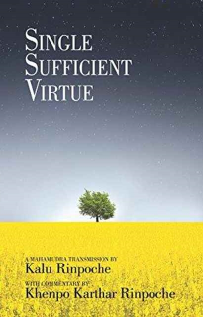 Single Sufficient Virtue, Paperback / softback Book