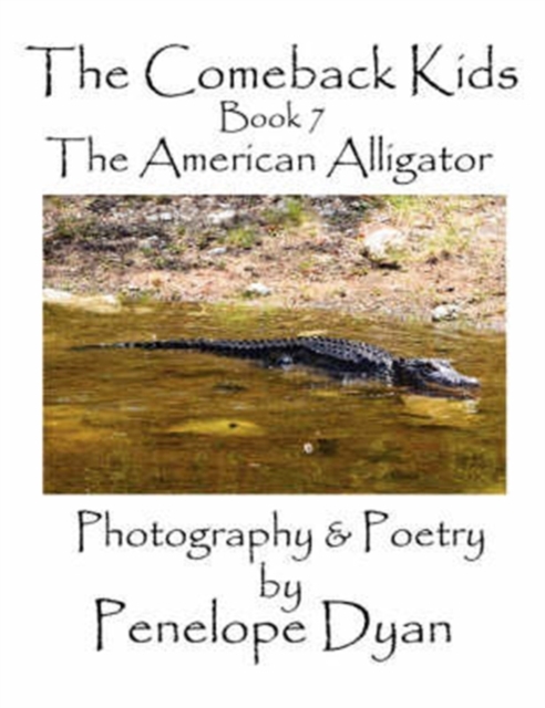The Comeback Kids, Book 7, The American Alligator, Paperback / softback Book