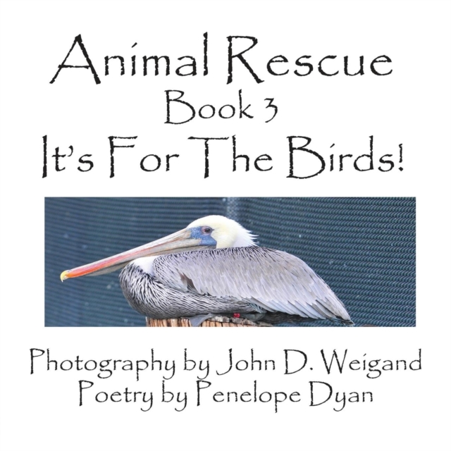 Animal Rescue, Book 3, It's For The Birds!, Paperback / softback Book