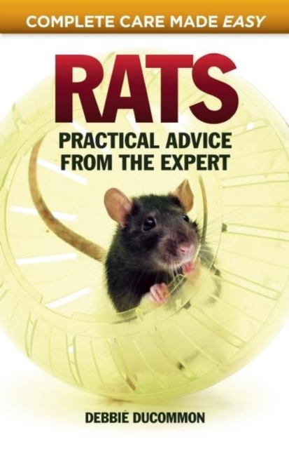 Rats : Practical, Accurate Advice from the Expert, Paperback / softback Book