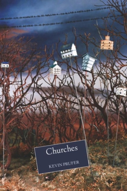 Churches, Paperback / softback Book
