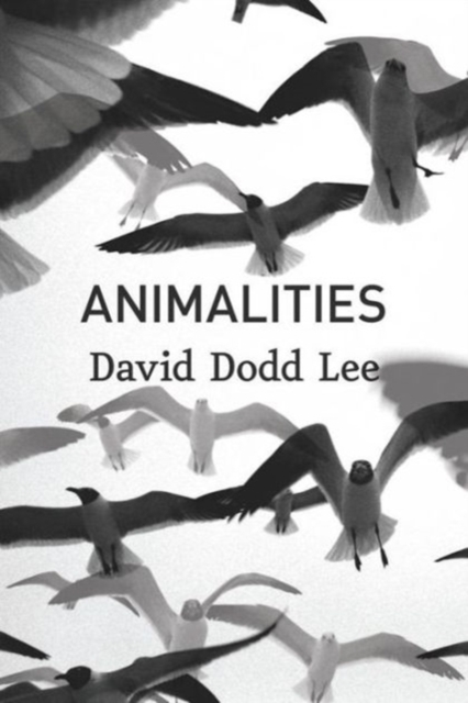Animalities, Paperback / softback Book