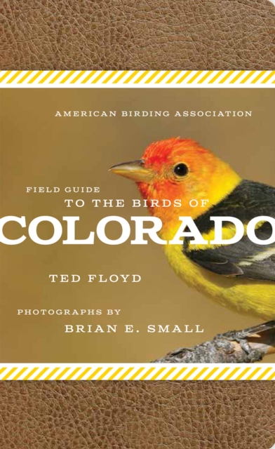 American Birding Association Field Guide to the Birds of Colorado, Paperback / softback Book