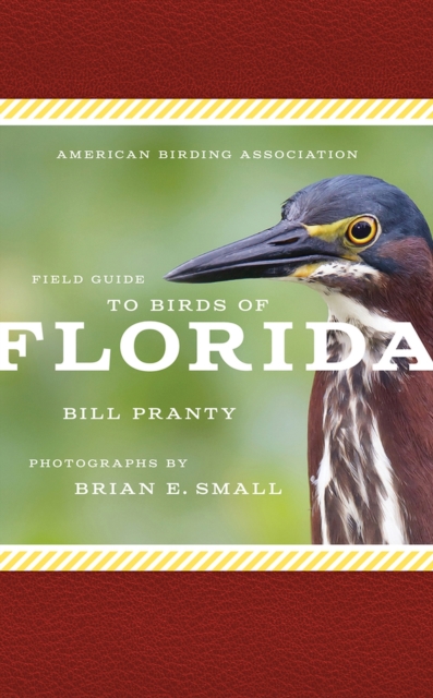 American Birding Association Field Guide to Birds of Florida, Paperback / softback Book