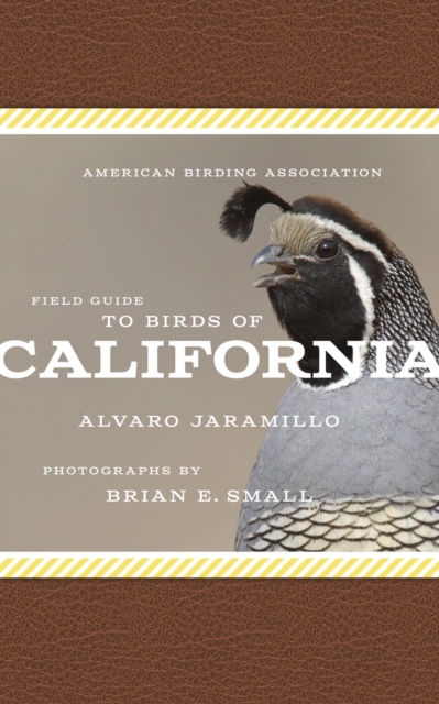 American Birding Association Field Guide to Birds of California, Paperback / softback Book