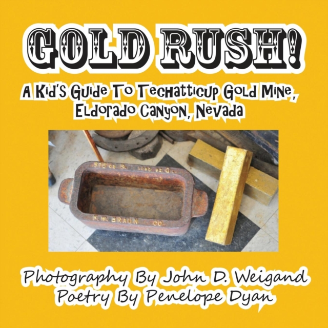 Gold Rush! a Kid's Guide to Techatticup Gold Mine, Eldorado Canyon, Nevada, Paperback / softback Book